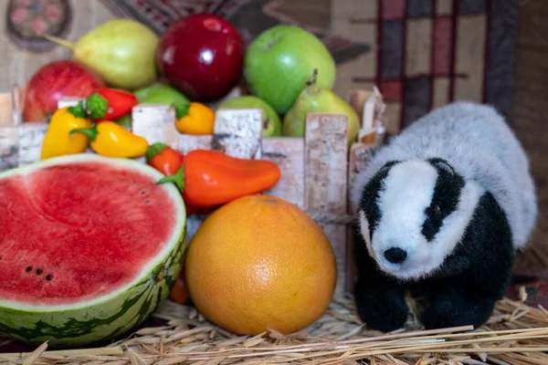 Oyuncak bir porsuğun yanında yarım karpuz, sonbahar meyveleri ve sebzelerle sakin bir hayat..