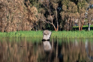 Kış Gölü Parkı Netanya, İsrail