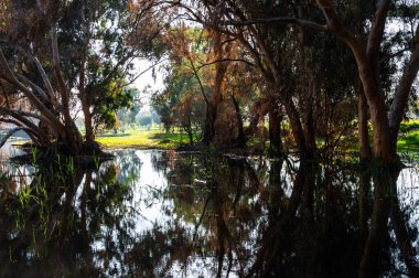 Kış Gölü Parkı Netanya, İsrail