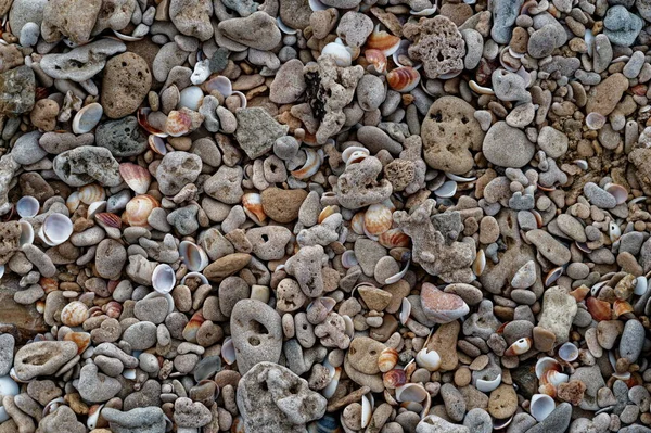 Крупный План Груды Камней Гальки Берегу Моря — стоковое фото