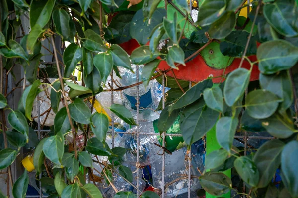 Много Пластиковых Пустых Бутылок Улице Контейнере Переплетенном Цветами Крупным Планом — стоковое фото