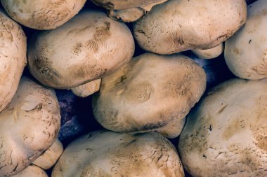 Taze şampiyonlar masadaki en üst sıralarda bile yakın plan çekimde yatar.