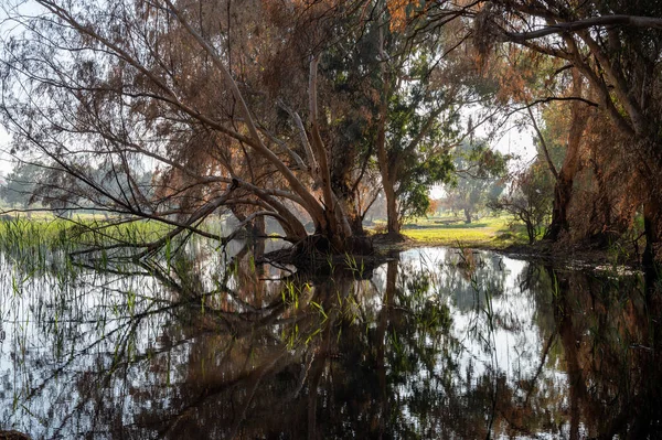 Kış Gölü Parkı Netanya, İsrail