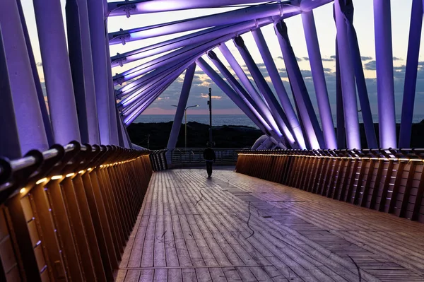 Gebogene Brücke Der Ursprünglichen Architektur Die Brücke Befindet Sich Süden — Stockfoto