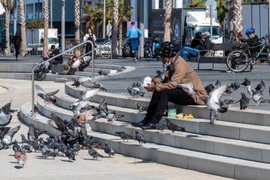 TEL AVIV, ISRAEL - 25 Ocak 2022: Tel Aviv 'deki Kudüs Sahili. Bir adam güvercinleri besler..