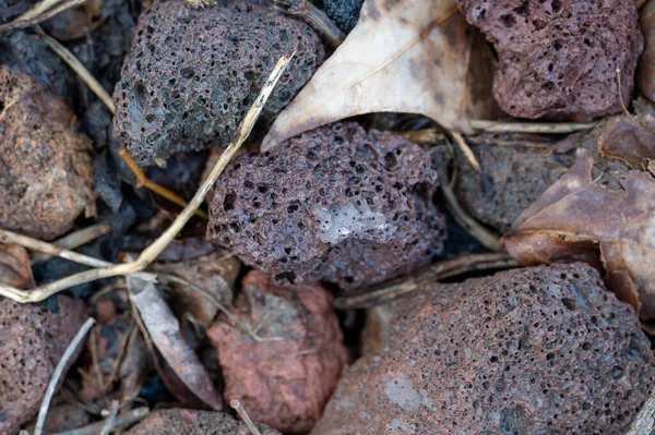 Las Ramas Raíces Secas Encuentran Piedras Diferentes Colores Tamaños Vista — Foto de Stock