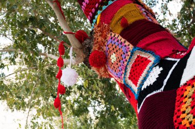 Ağaç gövdesi bombalamasına renkli örgü örülmüş. Sıcaklık, koruma ve dekorasyon için yamalı örgü örülmüş ağaç. Yüksek çözünürlük