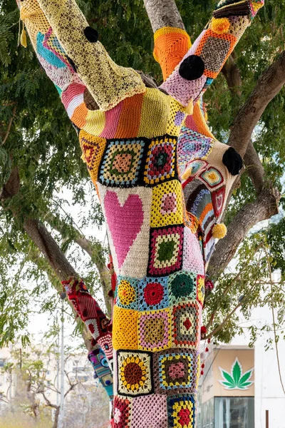 Ağaç gövdesi bombalamasına renkli örgü örülmüş. Sıcaklık, koruma ve dekorasyon için yamalı örgü örülmüş ağaç. Yüksek çözünürlük
