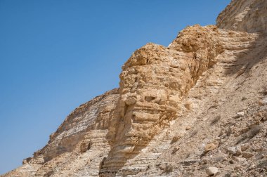 Ein Avdat Milli Parkı Kanyonu 'nun başı, Güney İsrail' in Negev Çölü 'nde vaha, Metin: Ein Avdat, Ein Mor. Yüksek çözünürlük.