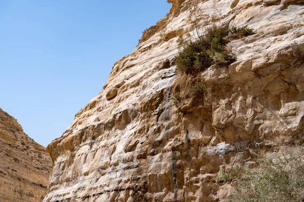 Trail Head Canyon Ein Avdat National Park Oasis Negev Desert — стоковое фото