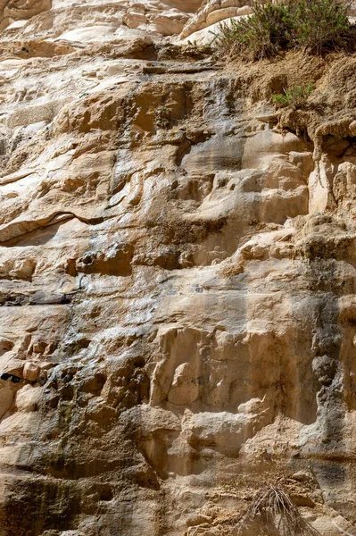 Camino Cabeza Del Cañón Ein Avdat Parque Nacional Oasis Desierto — Foto de Stock