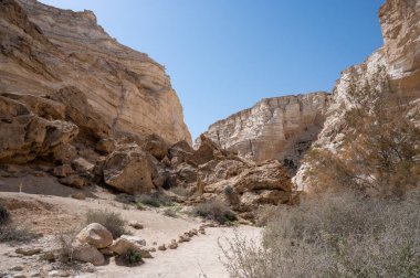 Ein Avdat Milli Parkı Kanyonu 'nun başı, Güney İsrail' in Negev Çölü 'nde vaha, Metin: Ein Avdat, Ein Mor. Yüksek çözünürlük.