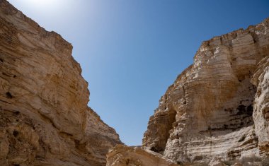 Ein Avdat Milli Parkı Kanyonu 'nun başı, Güney İsrail' in Negev Çölü 'nde vaha, Metin: Ein Avdat, Ein Mor. Yüksek çözünürlük.