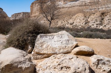 Ein Avdat Milli Parkı Kanyonu 'nun başı, Güney İsrail' in Negev Çölü 'nde vaha, Metin: Ein Avdat, Ein Mor. Yüksek çözünürlük.
