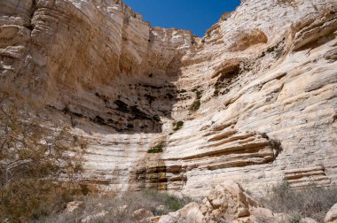 Ein Avdat Milli Parkı Kanyonu 'nun başı, Güney İsrail' in Negev Çölü 'nde vaha, Metin: Ein Avdat, Ein Mor. Yüksek çözünürlük.
