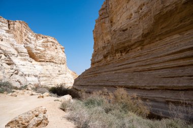 Ein Avdat Milli Parkı Kanyonu 'nun başı, Güney İsrail' in Negev Çölü 'nde vaha, Metin: Ein Avdat, Ein Mor. Yüksek çözünürlük.