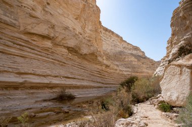 Ein Avdat Milli Parkı Kanyonu 'nun başı, Güney İsrail' in Negev Çölü 'nde vaha, Metin: Ein Avdat, Ein Mor. Yüksek çözünürlük.