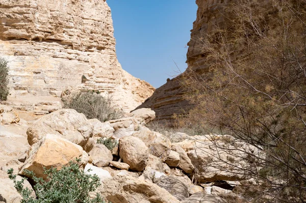 Ein Avdat Milli Parkı Kanyonu Nun Başı Güney Srail Negev — Stok fotoğraf