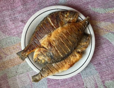 Üç kızarmış dorado balığı beyaz bir tabakta yatıyor. en üstteki görünüm