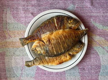 Üç kızarmış dorado balığı beyaz bir tabakta yatıyor. en üstteki görünüm