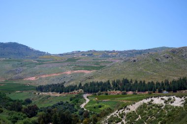 Ayuna su akıntısının çevresindeki manzara ve bitkiler. Nahal Nehri Ayun. Yedek ve ulusal park. Yukarı Celile, İsrail. yüksek çözünürlüklü