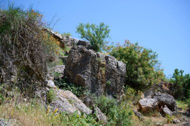 Ayuna su akıntısının çevresindeki manzara ve bitkiler. Nahal Nehri Ayun. Yedek ve ulusal park. Yukarı Celile, İsrail. yüksek çözünürlüklü
