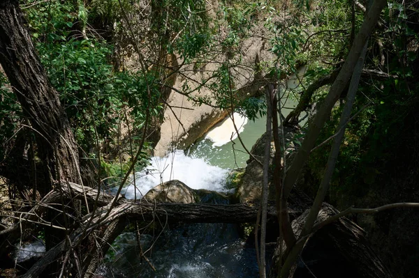 Corriente Agua Ayuna Cortavientos Leña Muerta Río Nahal Ayun Reserva —  Fotos de Stock