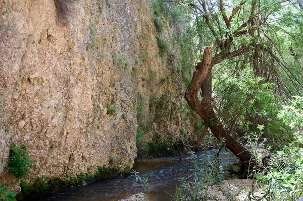 Wasserfalllandschaft Ayuns Wasserfall Fluss Nahal Ayun Naturpark Und Nationalpark Obergaliläa — Stockfoto