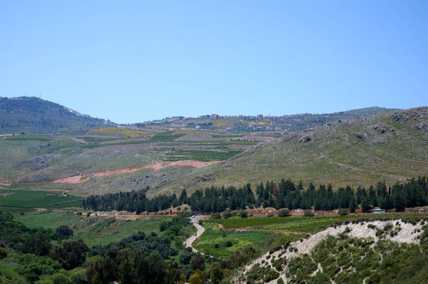 Paysages Plantes Dans Zone Ruisseau Ayuna Rivière Nahal Ayun Réserve — Photo