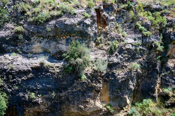 Paisajes Plantas Zona Del Arroyo Agua Ayuna Río Nahal Ayun — Foto de Stock