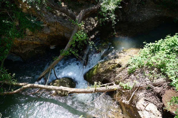 Větrolamy Smrtící Potok Ayuna Řeka Nahal Ayun Rezerva Národní Park — Stock fotografie