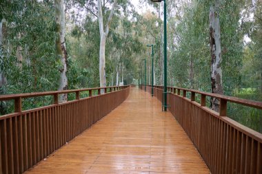 Parkta korkulukları olan tahta köprü, açık kahverengi. Parktaki tahta tahtalardan yapılmış geçiş köprüsü. Bakış açısı.