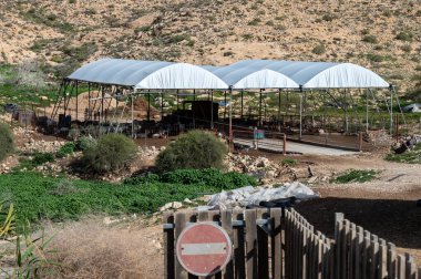 Kornmehl Keçi Restoranı, İsrail - 5 Mart 2022: Bu yer İsrail 'deki Negev Çölü' nün 211. Otoyolu 'nun bir kilometre güneyinde, 40. Otoyol' daki ıssız bir tepenin üzerinde yer almaktadır.