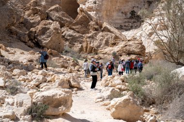 CANYON EIN AVDAT, ISRAEL - 5 Mart 2022: İsrail 'deki Negev Çölünde Kanyon Ein Avdat' ta yürüyen turistler.