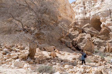 CANYON EIN AVDAT, ISRAEL - 5 Mart 2022: İsrail 'deki Negev Çölünde Kanyon Ein Avdat' ta yürüyen turistler.