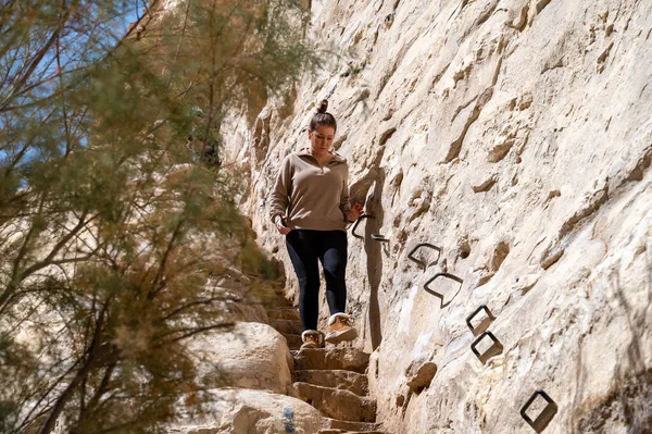 CANYON EIN AVDAT, ISRAEL - 5 Mart 2022: İsrail 'deki Negev Çölünde Kanyon Ein Avdat' ta yürüyen turistler.