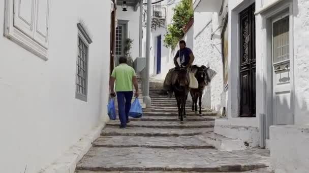 Hydra Greece May 2022 Donkeys Means Transport Hydra Island Saronic — Wideo stockowe