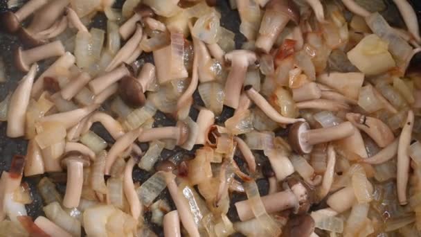 Shimeji Mushrooms Fried Pan Onions Close — Video