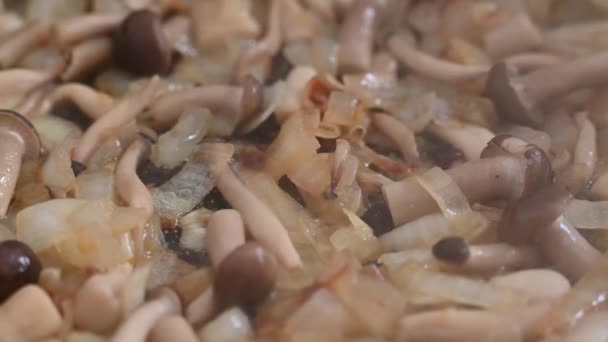 Shimeji Mushrooms Fried Pan Onions Close — Stockvideo