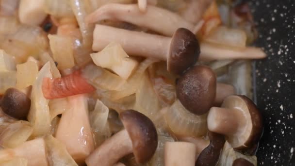 Shimeji Mushrooms Fried Pan Onions Close — Wideo stockowe
