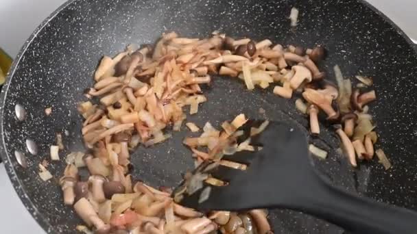 Shimeji Mushrooms Fried Pan Onions Close — Video Stock