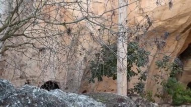 Entrances to caves in Beit Guvrin Maresha National Park in Israel. 4k video
