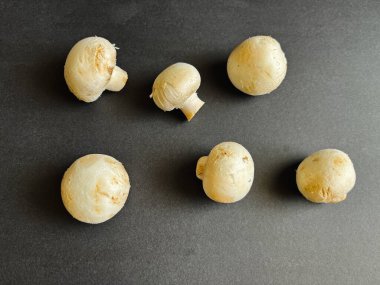 Taze şampiyon mantarları siyah arka planda serilir. Yakın plan..