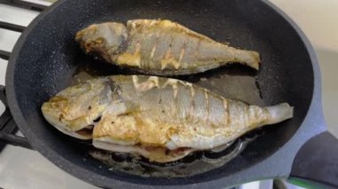 Koyu bir tavada taze çiğ dorado balığı ya da çipura. Akdeniz Mutfağı. Top view Sağlıklı ve diyet gıda konsepti. İki balık..