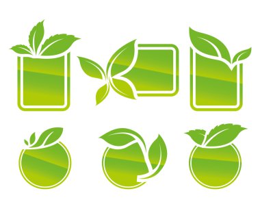 vektör yaprak çerçeve koleksiyonu