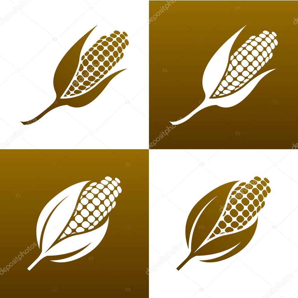 Corn and leaves. Design elements. Icon set.