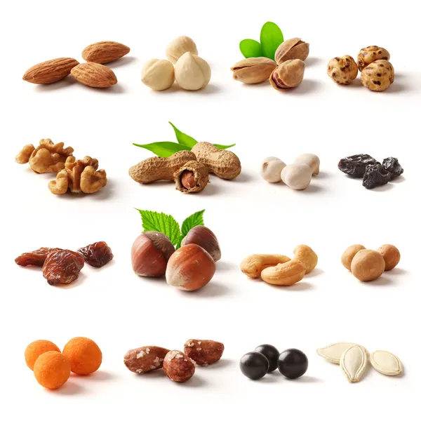Nuts family with clipping path — Stock Photo, Image