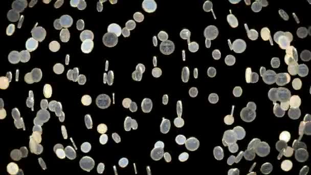 Business Animation of Euro Coins - Version noire 