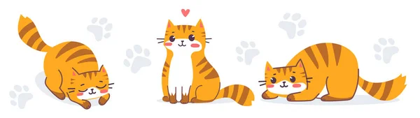 Conjunto Vectorial Ilustración Del Personaje Del Gato Tigre Animal Lindo — Vector de stock