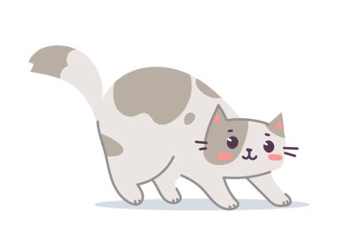 Vector illustration of happy cute spotted cat character on white color background. Flat line art style design of cute animal cat for web, greeting card, banner